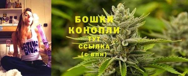 гидра Козельск
