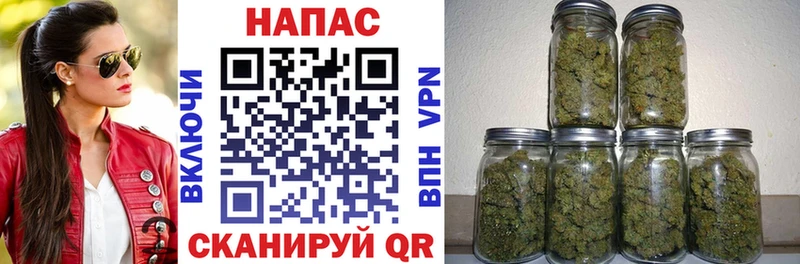Конопля гибрид  Купить  Фокино 